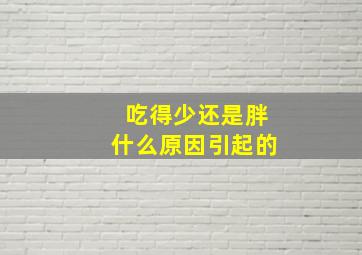 吃得少还是胖什么原因引起的