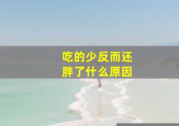 吃的少反而还胖了什么原因