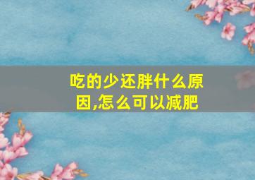 吃的少还胖什么原因,怎么可以减肥