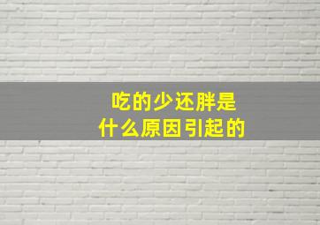 吃的少还胖是什么原因引起的