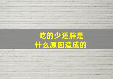 吃的少还胖是什么原因造成的