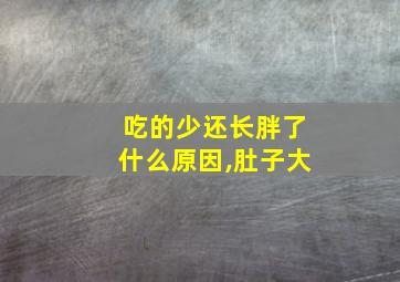 吃的少还长胖了什么原因,肚子大