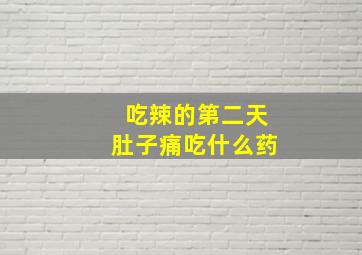 吃辣的第二天肚子痛吃什么药