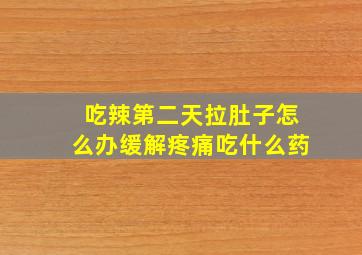 吃辣第二天拉肚子怎么办缓解疼痛吃什么药