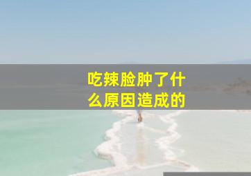 吃辣脸肿了什么原因造成的