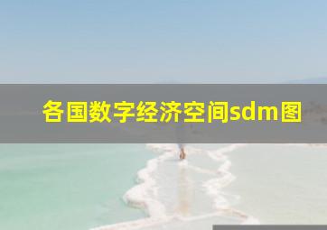 各国数字经济空间sdm图