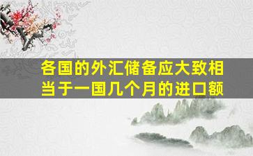 各国的外汇储备应大致相当于一国几个月的进口额