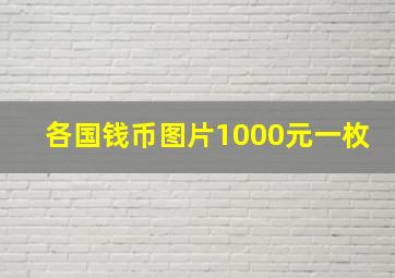 各国钱币图片1000元一枚