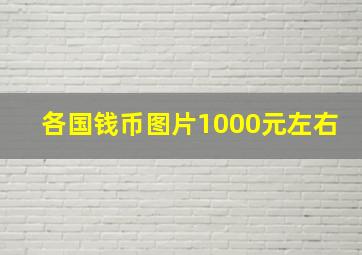 各国钱币图片1000元左右