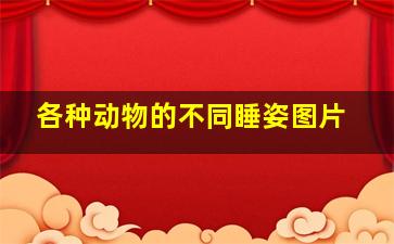 各种动物的不同睡姿图片