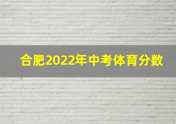 合肥2022年中考体育分数