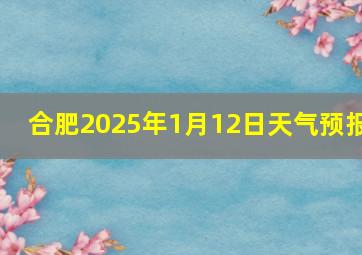 合肥2025年1月12日天气预报