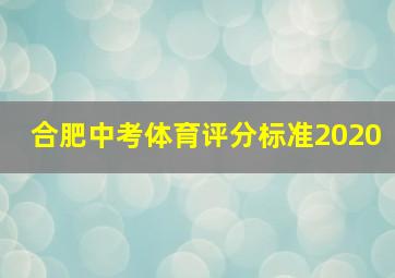 合肥中考体育评分标准2020