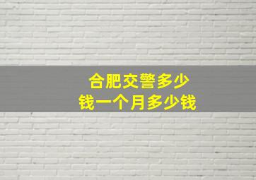 合肥交警多少钱一个月多少钱