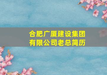 合肥广厦建设集团有限公司老总简历