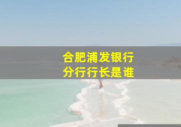 合肥浦发银行分行行长是谁