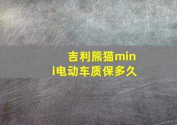 吉利熊猫mini电动车质保多久