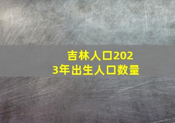 吉林人口2023年出生人口数量