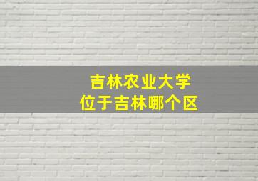 吉林农业大学位于吉林哪个区