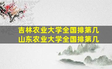 吉林农业大学全国排第几山东农业大学全国排第几