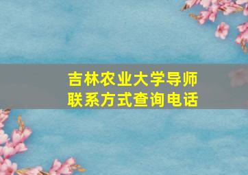 吉林农业大学导师联系方式查询电话