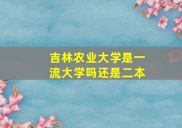 吉林农业大学是一流大学吗还是二本