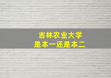 吉林农业大学是本一还是本二