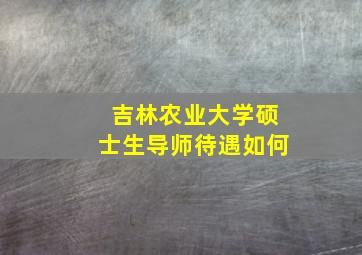 吉林农业大学硕士生导师待遇如何