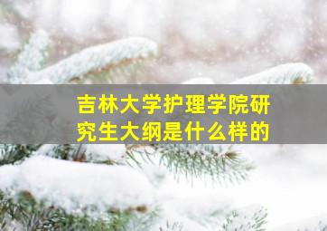 吉林大学护理学院研究生大纲是什么样的