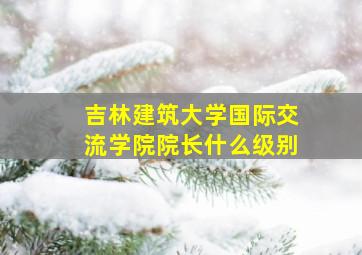 吉林建筑大学国际交流学院院长什么级别