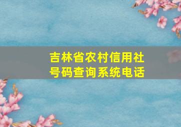 吉林省农村信用社号码查询系统电话