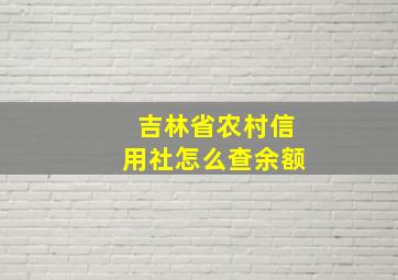 吉林省农村信用社怎么查余额