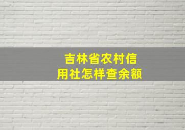 吉林省农村信用社怎样查余额