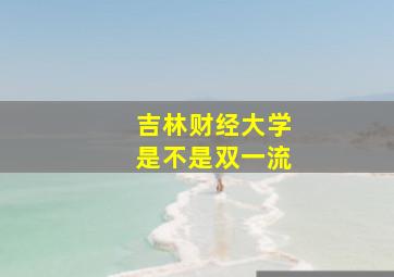 吉林财经大学是不是双一流