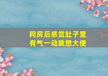 同房后感觉肚子里有气一动就想大便