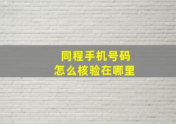 同程手机号码怎么核验在哪里