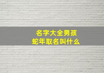 名字大全男孩蛇年取名叫什么