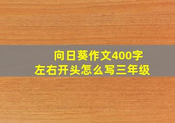 向日葵作文400字左右开头怎么写三年级