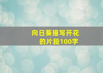 向日葵描写开花的片段100字