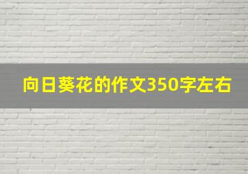 向日葵花的作文350字左右