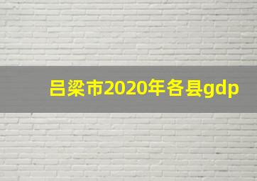 吕梁市2020年各县gdp