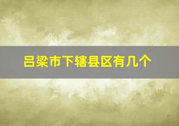 吕梁市下辖县区有几个