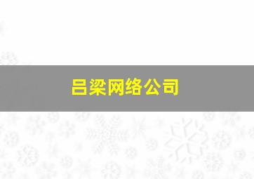 吕梁网络公司