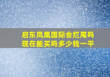 启东凤凰国际会烂尾吗现在能买吗多少钱一平