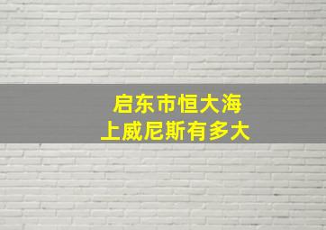 启东市恒大海上威尼斯有多大