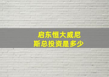 启东恒大威尼斯总投资是多少