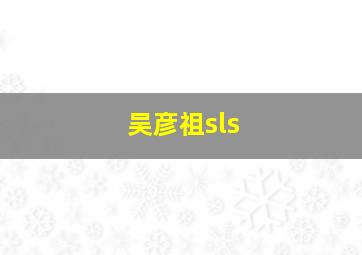 吴彦祖sls