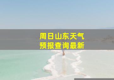 周日山东天气预报查询最新