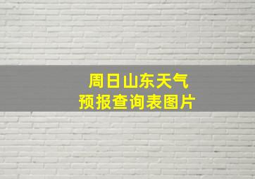 周日山东天气预报查询表图片