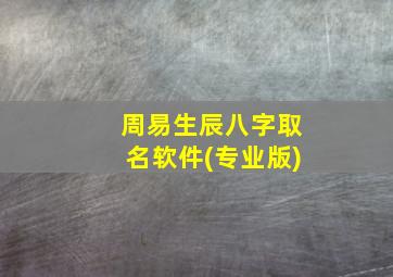 周易生辰八字取名软件(专业版)